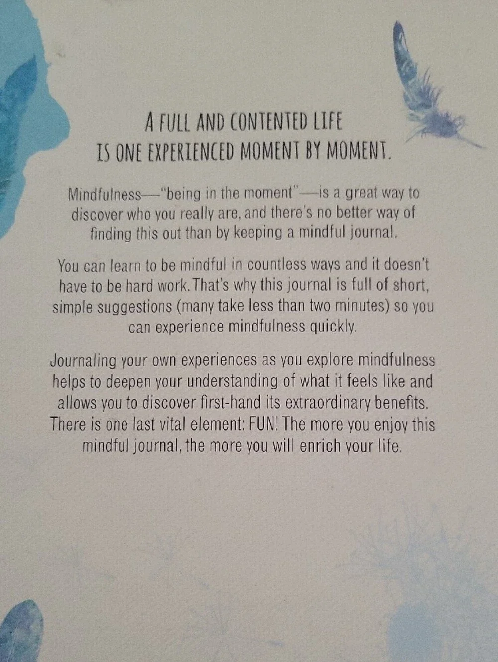 Mindful Journaling Notebook - Blue Dolphin Design